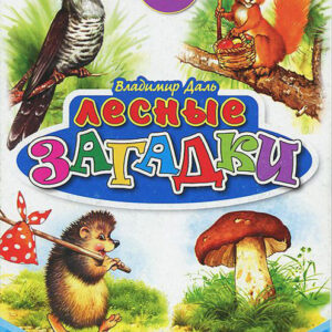 Лесные загадки