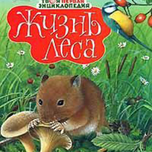 Жизнь леса