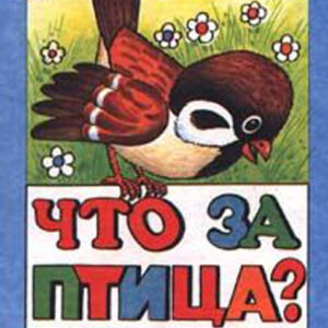 Что за птица?