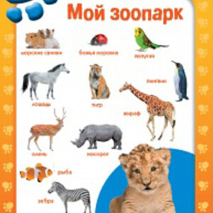 Мой зоопарк
