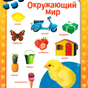 Окружающий мир
