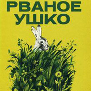 Рваное ушко