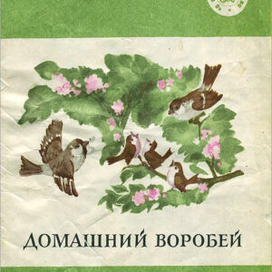 Домашний воробей