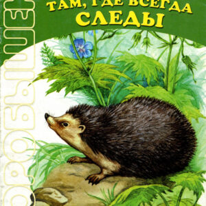 Там, где всегда следы