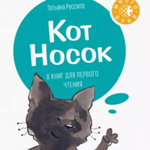 Кот Носок